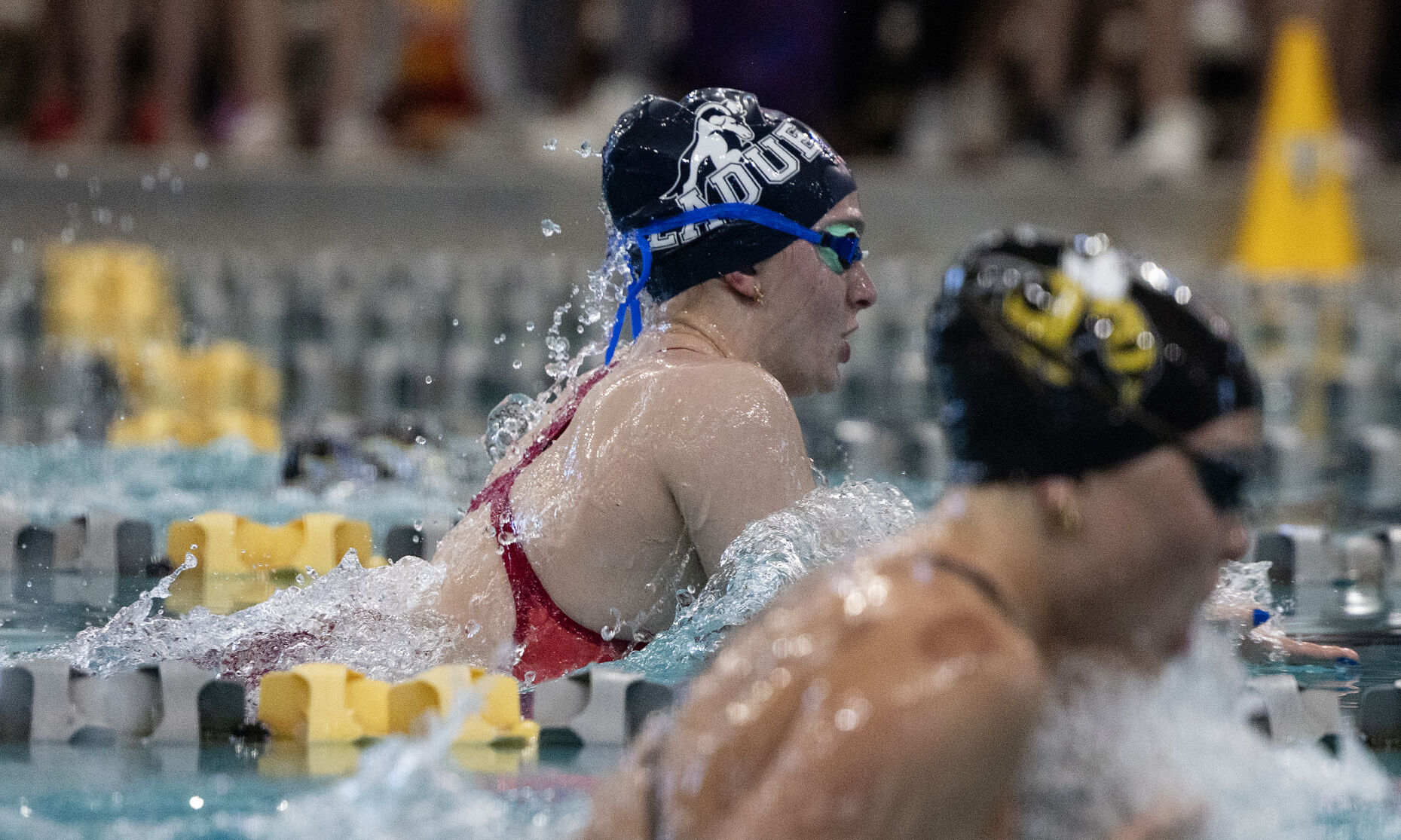 Class 1 Swimming and Diving championship meet